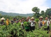 Hasil Panen Warga Binaan Lapas Palopo Mengalir untuk Daerah Terdampak Bencana