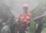 Hari Kelima Pencarian, Temuan Baru Percepat Identifikasi Korban Pesawat ATR