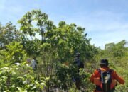 Pencarian Lansia Tersesat di Perkebunan Alasa Selayar Masuki Hari Ketiga, Hasil Masih Nihil