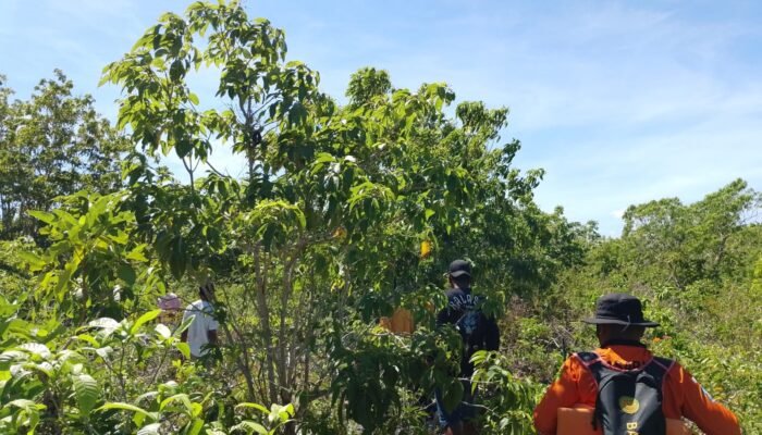 Pencarian Lansia Tersesat di Perkebunan Alasa Selayar Masuki Hari Ketiga, Hasil Masih Nihil