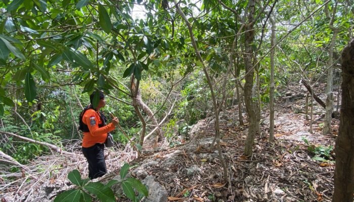 Misteri Lansia Hilang di Selayar, Operasi SAR Berakhir Tanpa Hasil