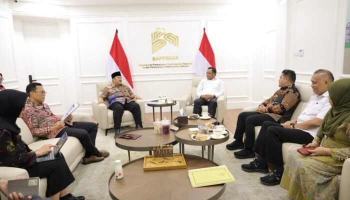 Temui Kepala Bappenas, Bupati Luwu Dorong Percepatan Pembangunan RS Walmas dan Infrastruktur