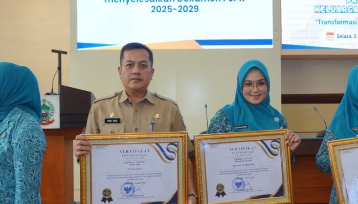 Pemkab Luwu Raih Penghargaan Dukungan Program MBG 3B