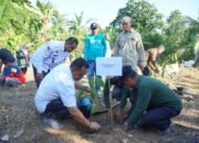Kakao Jadi Andalan, Pemkab Luwu Gandeng Pusat Terapkan Lanskap Terpadu