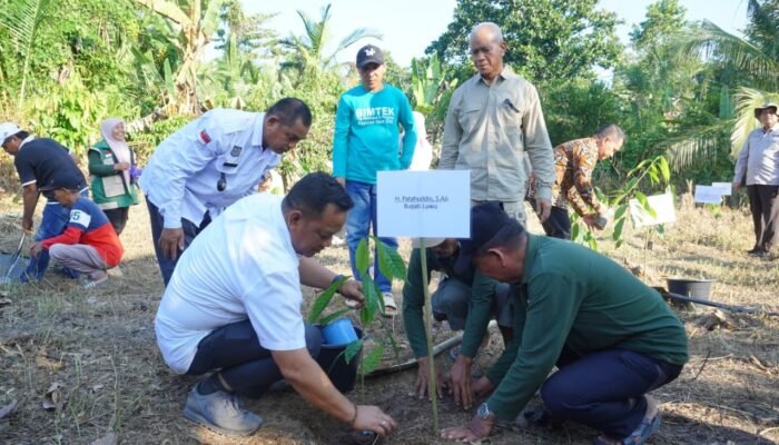 Kakao Jadi Andalan, Pemkab Luwu Gandeng Pusat Terapkan Lanskap Terpadu