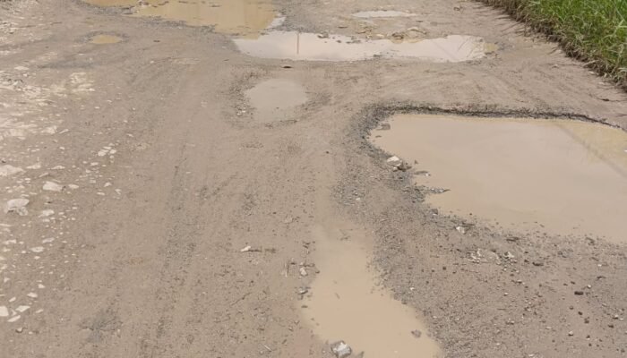 Jalan Mirip Kubangan Kerbau, Warga Minta Pemerintah Palopo Tak Tutup Mata