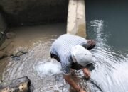 Debit Air Menurun, Perumdam Waemami Terapkan Sistem Giliran di Tiga Kecamatan