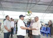 Bupati Luwu Kawal Program Kakao Nasional, Libatkan 200 Okulator Lokal