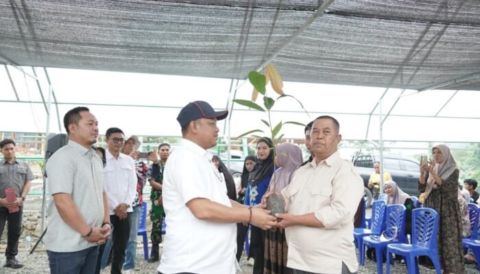 Bupati Luwu Kawal Program Kakao Nasional, Libatkan 200 Okulator Lokal