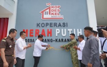 Dhevy Bijak: Koperasi Merah Putih Jadi Motor Penggerak Ekonomi Desa di Luwu