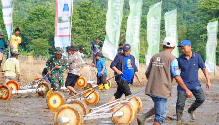 Patahudding Optimistis IP 300 Dongkrak Produksi dan Ekonomi Petani