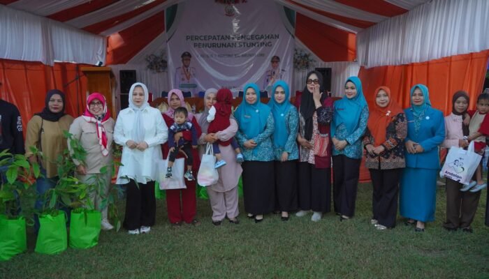 Pemprov Sulsel dan Pemkab Luwu Perkuat Kolaborasi Percepat Penurunan Stunting