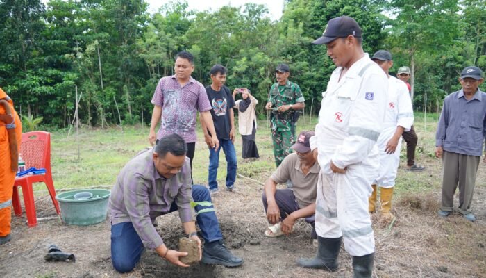 Penghijauan Bernilai Ekonomi, Bupati Luwu Tanam Perdana Aren Genjah di Bajo