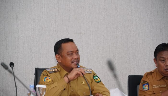 Bupati Luwu Genjot PAD, Realisasi PBB-P2 Baru 27,33 Persen