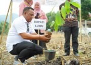 Luwu Bidik Kembali Jadi Sentra Kakao Nasional Lewat Gerakan Tanam Serentak