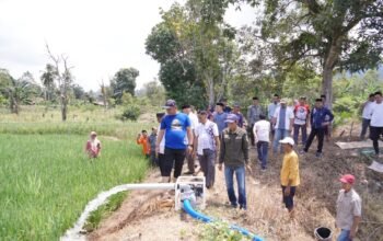 Bantu Petani Hadapi El Nino, Bupati Luwu Salurkan Pompa Air