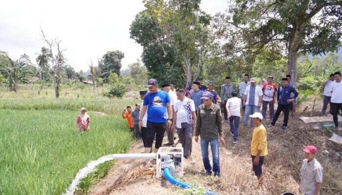 Bantu Petani Hadapi El Nino, Bupati Luwu Salurkan Pompa Air