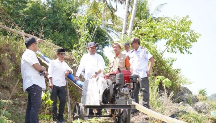 3.025 Hektare Sawah di Luwu Terdampak Kekeringan, Puluhan Pompa Air Disiapkan