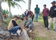 Bantu Petani Hadapi Kemarau, Bupati Luwu Salurkan Pompa Air di Kamanre