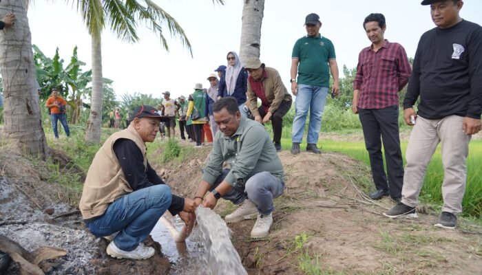 Bantu Petani Hadapi Kemarau, Bupati Luwu Salurkan Pompa Air di Kamanre