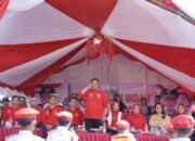 Patahudding Ajak Generasi Muda Luwu Kobarkan Semangat Kemerdekaan