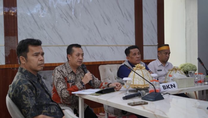 9.920 ASN Luwu Jadi Basis Penguatan Manajemen Talenta