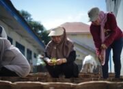 Ketua TP PKK Luwu Ajak Warga Manfaatkan Pekarangan, Tanam Sayur untuk Cegah Stunting