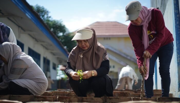 Ketua TP PKK Luwu Ajak Warga Manfaatkan Pekarangan, Tanam Sayur untuk Cegah Stunting