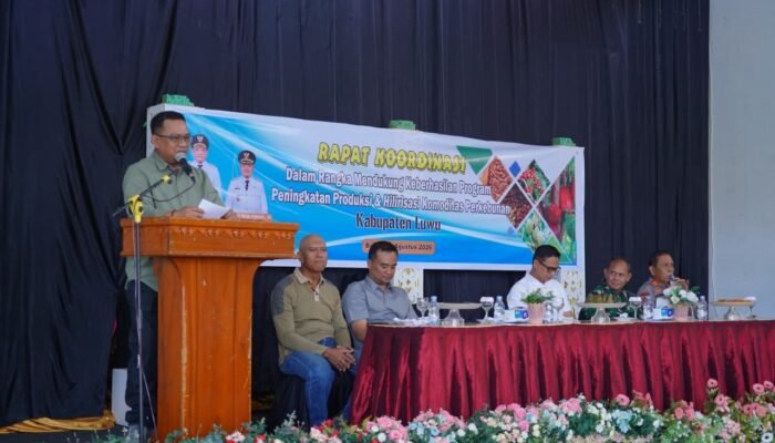 Luwu Siapkan 8 Juta Bibit Kakao Unggul untuk 8.000 Hektare Perkebunan
