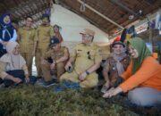 Tinjau Nelayan Mamonta, Bupati Luwu Dorong Rumput Laut Jadi Penggerak Ekonomi