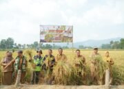Panen Perdana Demplot Inpago 13, Patahudding Serahkan Bantuan ke Petani