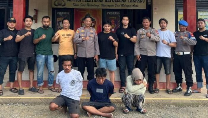Curi 13 Kg Sarang Walet, Tiga Terduga Pelaku Ditangkap di Wajo