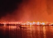 Area Penampungan Kayu Eks PT Panply di Luwu Terbakar