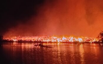 Area Penampungan Kayu Eks PT Panply di Luwu Terbakar
