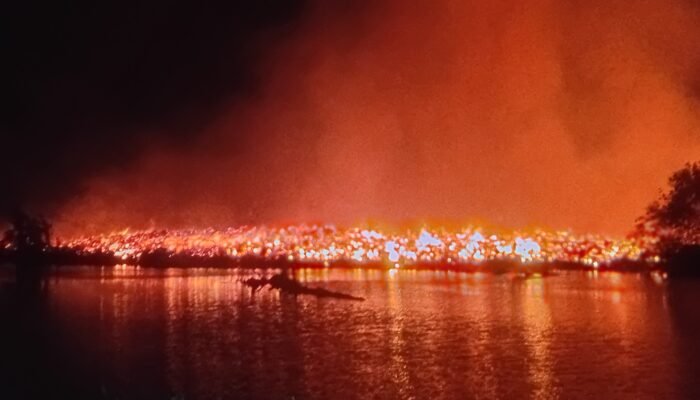 Area Penampungan Kayu Eks PT Panply di Luwu Terbakar