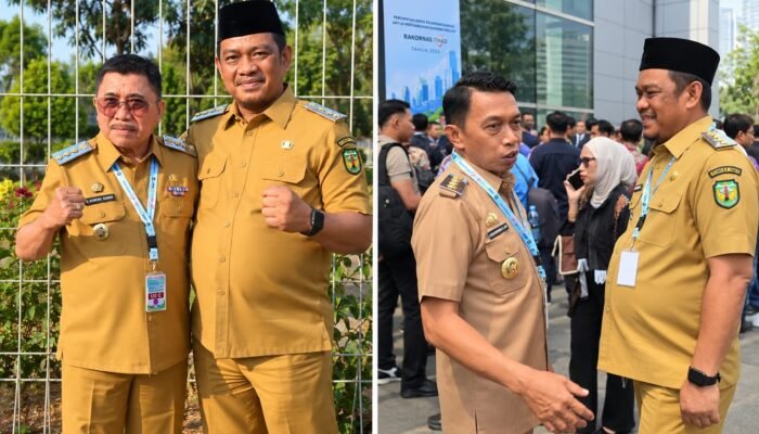 Perkuat Inklusi Keuangan di Daerah, Bupati Luwu Ikuti Rakornas TPAKD 2026