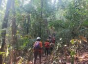 Warga Luwu Timur Hilang di Hutan Lahumpangi, Tim SAR Dikerahkan