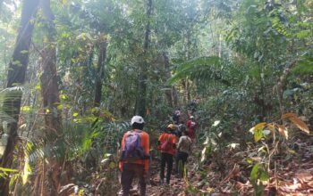 Warga Luwu Timur Hilang di Hutan Lahumpangi, Tim SAR Dikerahkan