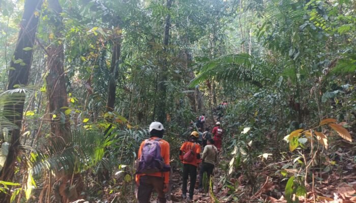 Warga Luwu Timur Hilang di Hutan Lahumpangi, Tim SAR Dikerahkan