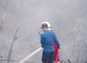 Kebakaran Lahan di Bontang Capai 5 Hektare, Petugas Kesulitan Akses Air