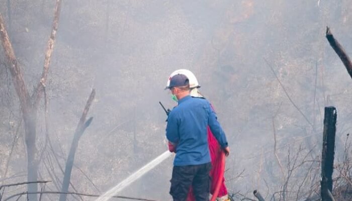 Kebakaran Lahan di Bontang Capai 5 Hektare, Petugas Kesulitan Akses Air