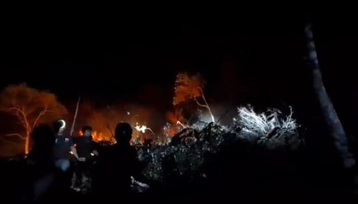Karhutla 20 Hektare di Bua Luwu Ancam Permukiman Warga